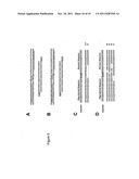 Targeted genomic modification with partially single-stranded donor     molecules diagram and image