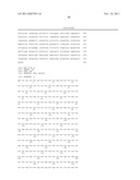 POLYPEPTIDE MARKER FOR DIAGNOSIS OF ARTERIOSCLEROSIS, METHOD FOR DETECTION     OF ARTERIOSCLEROSIS BY USING THE MAKER OR THE LIKE, AND KIT FOR DIAGNOSIS     OF ARTERIOSCLEROSIS diagram and image