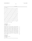 POLYPEPTIDE MARKER FOR DIAGNOSIS OF ARTERIOSCLEROSIS, METHOD FOR DETECTION     OF ARTERIOSCLEROSIS BY USING THE MAKER OR THE LIKE, AND KIT FOR DIAGNOSIS     OF ARTERIOSCLEROSIS diagram and image