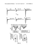 Modulation of sodium channels by nicotinamide adenine dinucleotide diagram and image