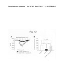 Modulation of sodium channels by nicotinamide adenine dinucleotide diagram and image