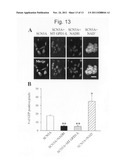 Modulation of sodium channels by nicotinamide adenine dinucleotide diagram and image