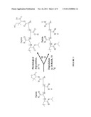 Biodegradable polymer system diagram and image