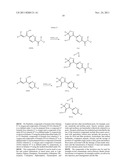 INSECTICIDAL COMPOUNDS diagram and image