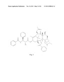 TRANSITION METAL COMPLEXES OF A BIS[THIO-HYDRAZIDE AMIDE] COMPOUNDS diagram and image