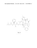 TRANSITION METAL COMPLEXES OF A BIS[THIO-HYDRAZIDE AMIDE] COMPOUNDS diagram and image