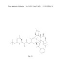 TRANSITION METAL COMPLEXES OF A BIS[THIO-HYDRAZIDE AMIDE] COMPOUNDS diagram and image