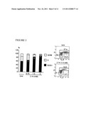 Methods for Preventing or Reducing Colon Carcinogenesis diagram and image