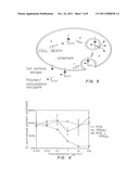 ENHANCED TRANSPORT USING MEMBRANE DISRUPTIVE AGENTS diagram and image