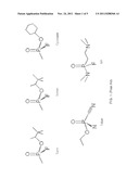 COMPOSITIONS FOR NEUTRALIZATION AND DECONTAMINATION OF TOXIC CHEMICAL AND     BIOLOGICAL AGENTS diagram and image