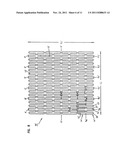 STENT WITH DUAL SUPPORT STRUCTURE diagram and image