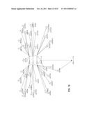 METHOD AND APPARATUS FOR PROCESSING NETWORK VISUALIZATION diagram and image