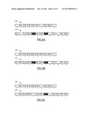 GARBAGE COLLECTION IN STORAGE DEVICES BASED ON FLASH MEMORIES diagram and image