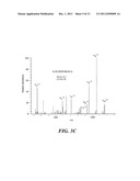 NARROW BORE POROUS LAYER OPEN TUBE CAPILLARY COLUMN AND USES THEREOF diagram and image