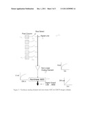 CMOS IMAGER WITH COMPANDED COLUMN SIGNALS diagram and image