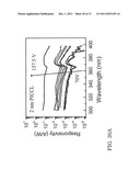 POLARIZATION ENHANCED AVALANCHE  PHOTODETECTOR AND METHOD THEREOF diagram and image