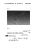 Method of Three-Dimensional Image Data Processing diagram and image