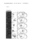 Method of Three-Dimensional Image Data Processing diagram and image