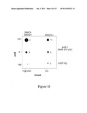 Compositions and Methods for Inhibiting Growth of SMAD-4 Deficient Cancers diagram and image