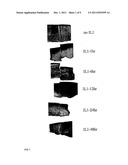 CATABOLIC AGENTS diagram and image