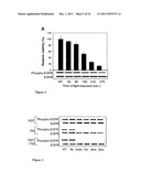 PHOTOCHEMICAL INTERNALISATION OF KINASE INHIBITORS diagram and image