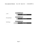 SERINE PROTEASE DERIVATIVES AND USES IN THE PREVENTION OR THE TREATMENT OF     BLOOD COAGULATION DISORDERS diagram and image