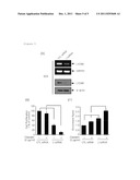 Anticancer Composition Comprising Antitumor Agent and Substance Having     Inhibitory Effects on L1CAM Activity and Expression diagram and image