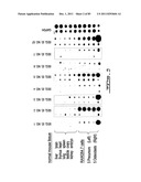 POLYNUCLEOTIDES AND POLYPEPTIDE SEQUENCES INVOLVED IN THE PROCESS OF BONE     REMODELING diagram and image