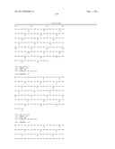 POLYNUCLEOTIDES AND POLYPEPTIDE SEQUENCES INVOLVED IN THE PROCESS OF BONE     REMODELING diagram and image