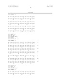 ANTITUMOR COMBINATIONS CONTAINING ANTIBODIES RECOGNIZING SPECIFICALLY CD38     AND VINCRISTINE diagram and image