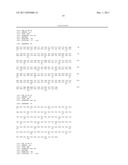 ANTITUMOR COMBINATIONS CONTAINING ANTIBODIES RECOGNIZING SPECIFICALLY CD38     AND VINCRISTINE diagram and image