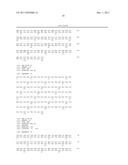 ANTITUMOR COMBINATIONS CONTAINING ANTIBODIES RECOGNIZING SPECIFICALLY CD38     AND VINCRISTINE diagram and image