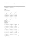 ANTITUMOR COMBINATIONS CONTAINING ANTIBODIES RECOGNIZING SPECIFICALLY CD38     AND VINCRISTINE diagram and image