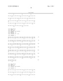 ANTITUMOR COMBINATIONS CONTAINING ANTIBODIES RECOGNIZING SPECIFICALLY CD38     AND VINCRISTINE diagram and image