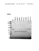 Antibody Variants Having Modifications In The Constant Region diagram and image