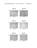 Antigen-presenting complex-binding compositions and uses thereof diagram and image