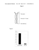 CROSS-SPECIES-SPECIFIC PSMAxCD3 BISPECIFIC SINGLE CHAIN ANTIBODY diagram and image