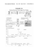 ANTIBODIES AS T CELL RECEPTOR MIMICS, METHODS OF PRODUCTION AND USES     THEREOF diagram and image