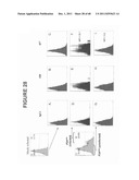 ANTIBODIES AS T CELL RECEPTOR MIMICS, METHODS OF PRODUCTION AND USES     THEREOF diagram and image