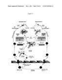 Modulation of Splenocytes in Cell Therapy diagram and image