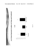 Modulation of Splenocytes in Cell Therapy diagram and image