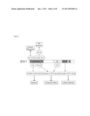 Reagents and Methods for Treating Cancer diagram and image