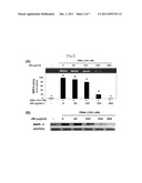 ANTICANCER COMPOSITION CONTAINING HERBAL EXTRACT diagram and image