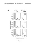 BARLEY AND MALT-DERIVED BEVERAGES WITH LOW DMS LEVEL diagram and image