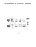 BARLEY AND MALT-DERIVED BEVERAGES WITH LOW DMS LEVEL diagram and image