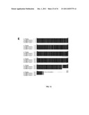 BARLEY AND MALT-DERIVED BEVERAGES WITH LOW DMS LEVEL diagram and image