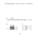 BARLEY AND MALT-DERIVED BEVERAGES WITH LOW DMS LEVEL diagram and image