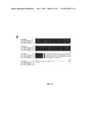 BARLEY AND MALT-DERIVED BEVERAGES WITH LOW DMS LEVEL diagram and image