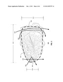 SYSTEM FOR TOPPING AND TAILING LETTUCE HEADS USING A CAMERA-GUIDED     SERVO-CONTROLLED WATER KNIFE diagram and image