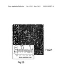 ASSEMBLIES COMPRISING BLOCK CO-POLYMER FILMS AND NANORODS diagram and image